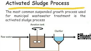 activated sludge process waste water treatment process  slides [upl. by Amhsirak634]