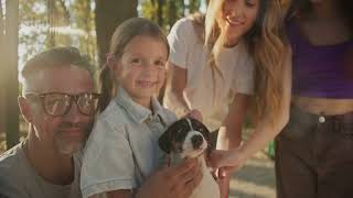 Adopt Dont Shop The Joy of Shelter Pets spec commercial [upl. by Aehtrod]