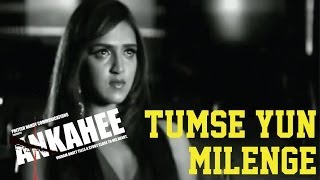 Ankahee  Tumse Yun Milenge [upl. by Aritak]