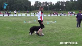 Finals – Christine Hahn  Wings of Hope Eternal Hero  Border Collie – GERMANY [upl. by Behn266]