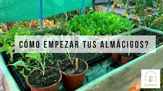 CÓMO EMPEZAR TUS ALMÁCIGOS  Haciendo la previa de la primavera [upl. by Ahsaz]