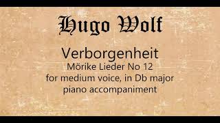 Verborgenheit medium voice piano accompaniment [upl. by Aliakim]