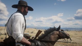 Relaxing Great Plains Range Ride  Red Dead Redemption 2 Ambience  RDR2  ASMR [upl. by Barbabra]