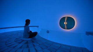 What is Auroville Pondicherry  Meditation Rooms Inside the Matrimandir Petals [upl. by Fabien855]