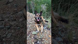 Minnie Gulch OHV Trail  Silverton Colorado [upl. by Johanna893]