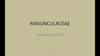 Ranunculaceae family in homoeopathy [upl. by Arised]