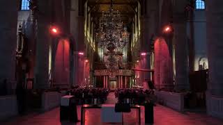 Pieter Heykoop  Nieuwjaarsconcert Laurenskerk Rotterdam 5 januari 2019 [upl. by Eisenberg]