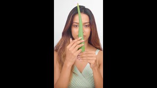 Hydrate hair and soothe the scalp with Aloe Veras goodness asmr [upl. by Gibert293]