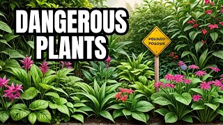 Plants You Should NEVER Touch [upl. by Leibrag]