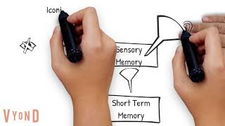 Information Processing Theory Explained [upl. by Namar100]