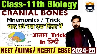 Cranial Bones Mneominc  Trick  Trick to learn cranial bones [upl. by Aicinat501]