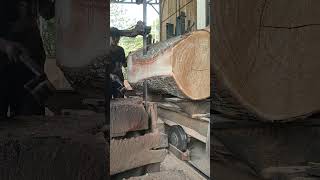 Kayu mindi kualitas terbaik 1 sawmill [upl. by Nnoryt664]