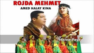 Rojda Mehmet  Herne Peş  Amed Halay Kına [upl. by Ajoop]