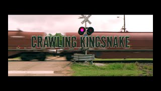 The Black Keys  Crawling Kingsnake Official Music Video [upl. by Alegnatal722]