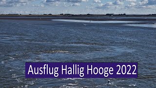 Ausflug zur wunderschönen Hallig Hooge im Nordfriesischen Wattenmeer [upl. by Audun]