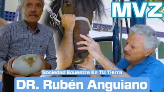 Rubén Anguiano médico veterinario  en Sociedad Ecuestre en tu Tierra con Estefanía Zúñiga [upl. by Yesnnyl659]