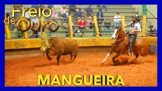 Entenda o FREIO DE OURO MANGUEIRA [upl. by Karol]