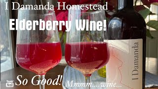 Bottling and Sampling our Elderberry Wine An Excellent Vintage [upl. by Winnifred302]