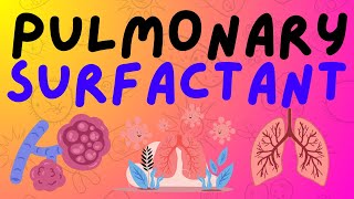 The Respiratory System Pulmonary Surfactant [upl. by Ailliw]