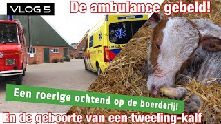 VLOG 5  SCHRIKKEN VAN EEN ONGELUK OP DE BOERDERIJ EN ER IS EEN KALFTWEELING GEBOREN [upl. by Haikezeh]