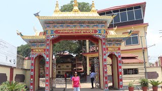 Golden Temple Famous Tourist place in Kodagu [upl. by Euqinobe]