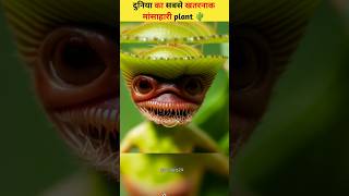 मांस खाने वाला मांसाहारी पौधा😱venas flytrap carnivorous plant plants facts shorts [upl. by Mialliw]