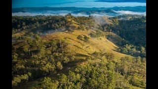 For Sale  Dinnies Scenic Rim Region QLD [upl. by Anneres]