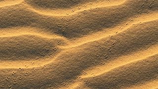 Monahans Sandhills State Park Texas [upl. by Lochner]