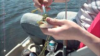 Gone Fishing at Jeptha Lake in Bloomingdale Michigan June 26 2011 [upl. by Marelda]