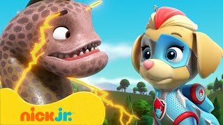 Щенячий патруль  Мегащенки против гигантских животных  Nick Jr Cyrillic [upl. by Llenaj]