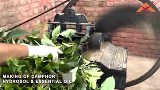 Making of Camphor hydrosol and essential oil At Aadhunik Ayurveda [upl. by Ailemaj460]