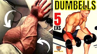 5 BEST Exercises for Bigger Forearms Workout [upl. by Aggie]