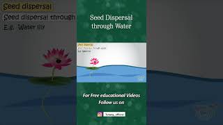 Ways of Seed Dispersal  Seed Dispersal through Water  Plants  Pollination  Science shorts [upl. by Daigle]