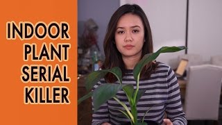 Indoor Plant Serial Killer [upl. by Inavihs854]