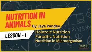 Nutrition in Animal  Types Of Nutrition  Mode of Nutrition  Nutrition in some Animal [upl. by Clarita]