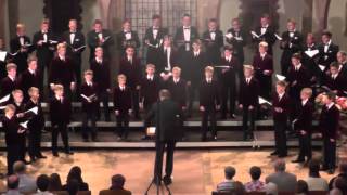 Estonian National Opera Boys ChoirEstland Magnificat EJCF Basel 2014 [upl. by Deck47]