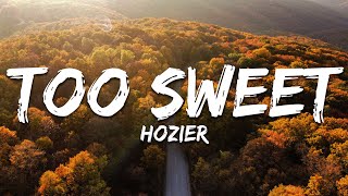 Hozier  Too Sweet Lyrics [upl. by Uehttam]