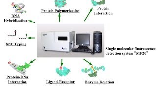 NMR spectroscopy part 4 [upl. by Sutniuq]