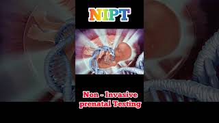 NIPTNon Invasive Prenatal Testing [upl. by Pendleton307]