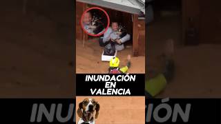 Rescate en las Inundaciones en valenciaspain [upl. by Broucek]