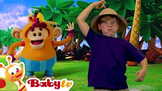 Monkey See Monkey Do 🙊​🐵​  Giggle Wiggle ✨ Dance Party Songs amp Rhymes 💃🏻​🕺🏻 BabyTV [upl. by Bodnar478]