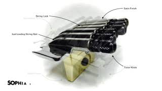 Sophia 292 Tremolo Upgrades  Coherent Sound In Light [upl. by Niassuh]