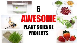 10 Awesome Plant Science Projects [upl. by Emirej841]