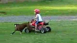 2 year old atv quad four wheeler rider Im 28 months [upl. by Atileda131]