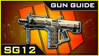 SG12 Stats amp Best Class Setups  Black Ops 4 Gun Guide 30 [upl. by Ociredef]