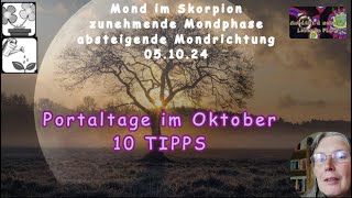 Portaltage im Oktober  10 Tipps wie du damit umgehen kannst [upl. by Nayve178]