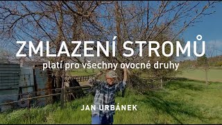 ZMLAZENÍ STROMŮ  platí pro všechny ovocné druhy [upl. by Airb]