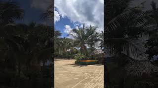 Hilton Rose Hall Montego Bay Jamaica  Jerk Hut [upl. by Indira823]