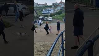 Filey beach England [upl. by Lemon579]