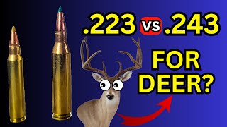 223 vs 243 for Deer Hunting [upl. by Corvese]